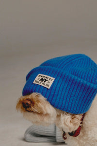 Beanie W25B354 530 royal blue